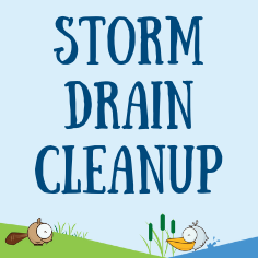 Storm Drain Cleanup